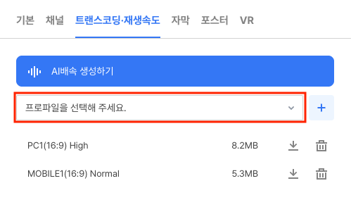 트랜스코딩·재생속도 탭