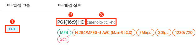 인코딩 프로파일 목록