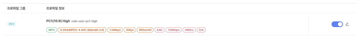 인코딩 프로파일 활성화 상태